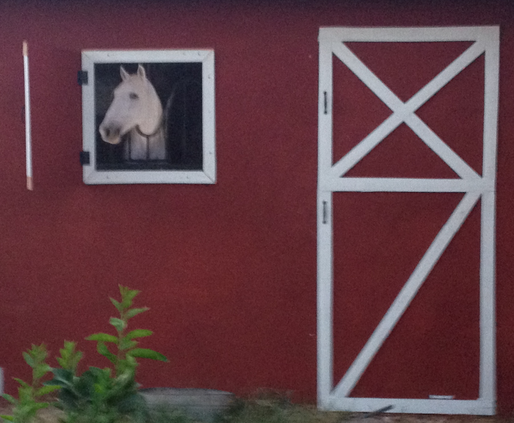 Horse Mural 2 made with sublimation printing